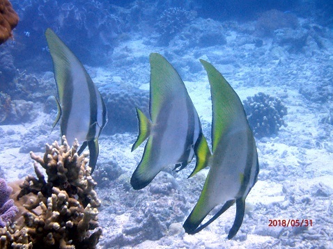 d0363174_22310845.jpg