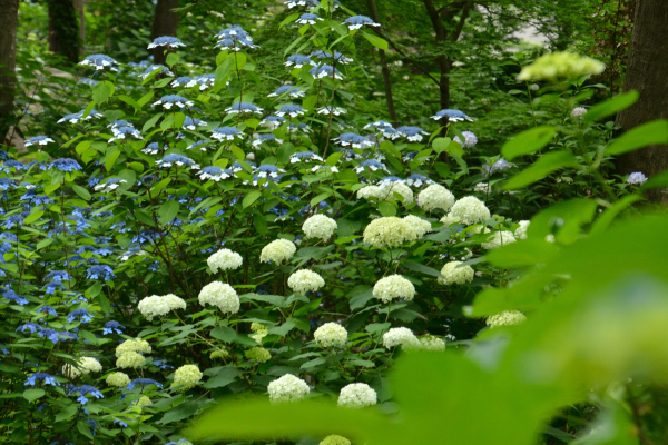 b0338976_15361580.jpg