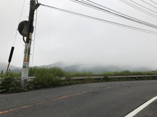 f0315081_21575403.jpeg
