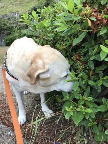 f0315081_22032556.jpeg