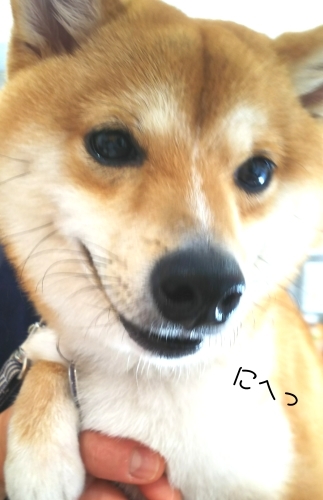 トレーニングブログ_f0357682_21475955.jpg