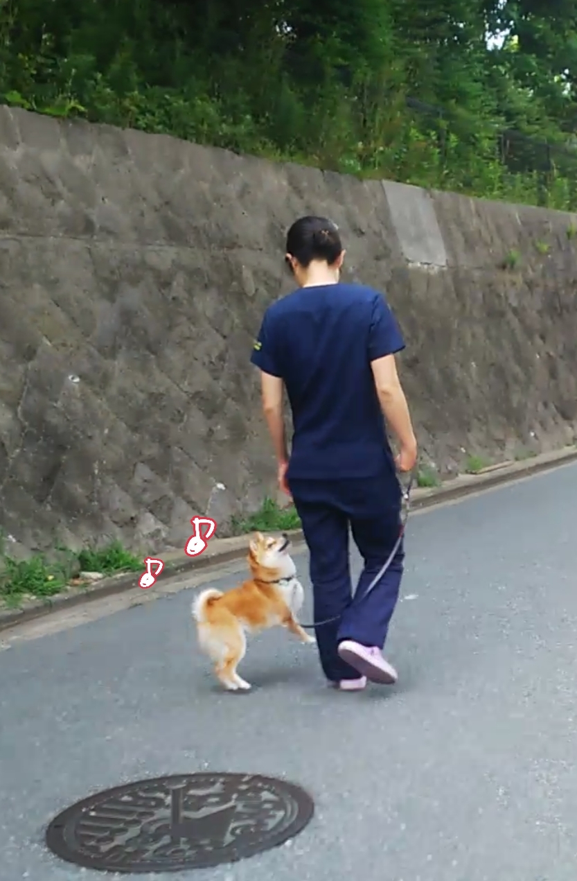トレーニングブログ_f0357682_21500026.jpg