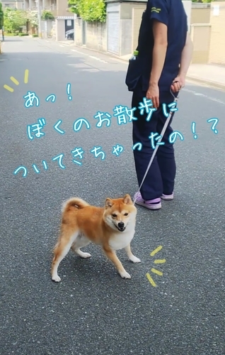 トレーニングブログ_f0357682_21510770.jpg