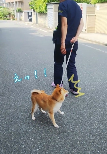 トレーニングブログ_f0357682_21520679.jpg