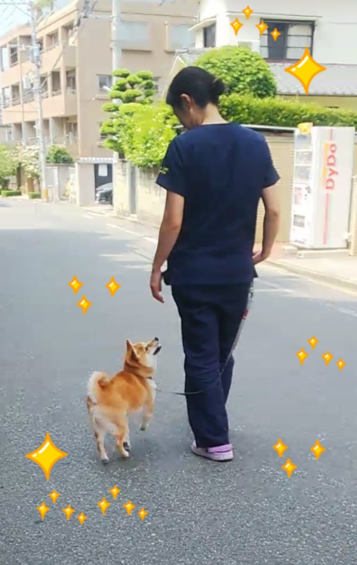 トレーニングブログ_f0357682_21540054.jpg