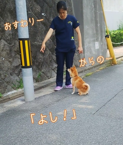 トレーニングブログ_f0357682_21560450.jpg