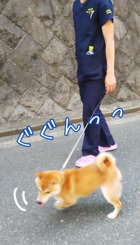 トレーニングブログ_f0357682_21582115.jpg
