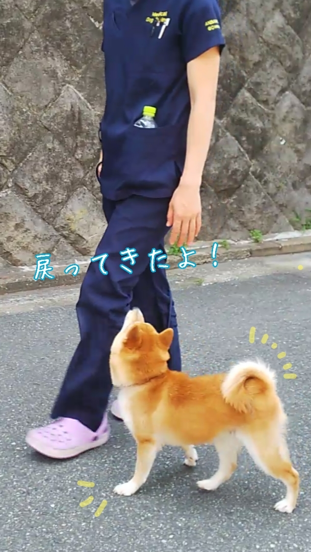 トレーニングブログ_f0357682_22001926.jpg