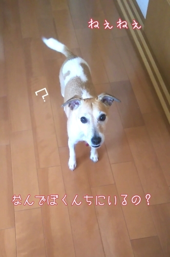 トレーニングブログ_f0357682_22104806.jpg