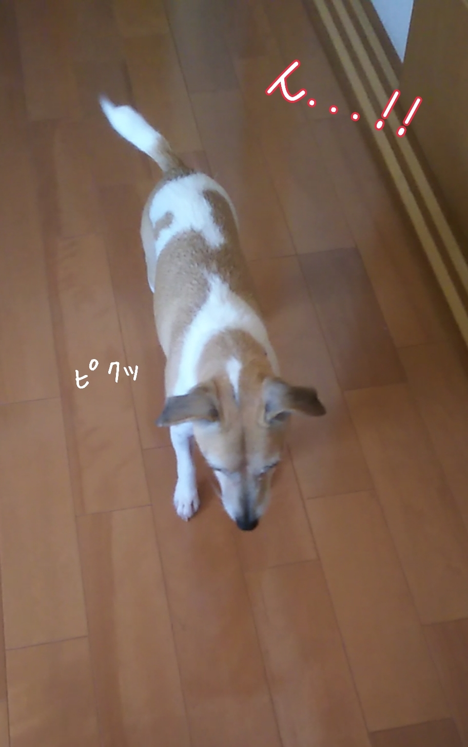 トレーニングブログ_f0357682_22122393.jpg