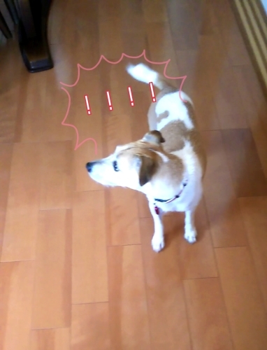 トレーニングブログ_f0357682_22140150.jpg