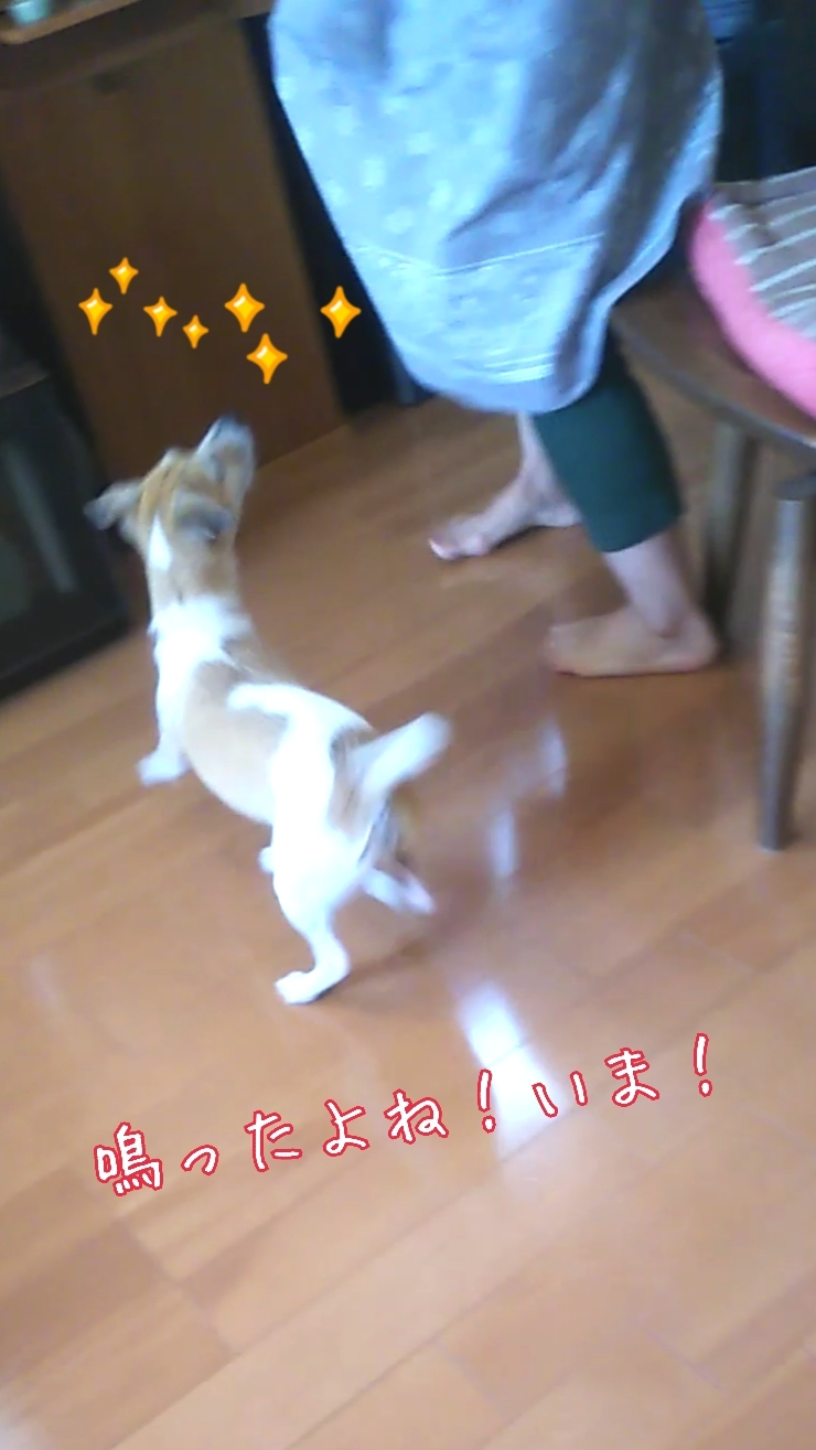 トレーニングブログ_f0357682_22144070.jpg