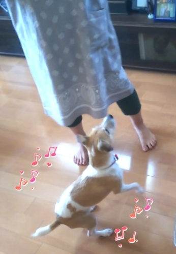 トレーニングブログ_f0357682_22181618.jpg
