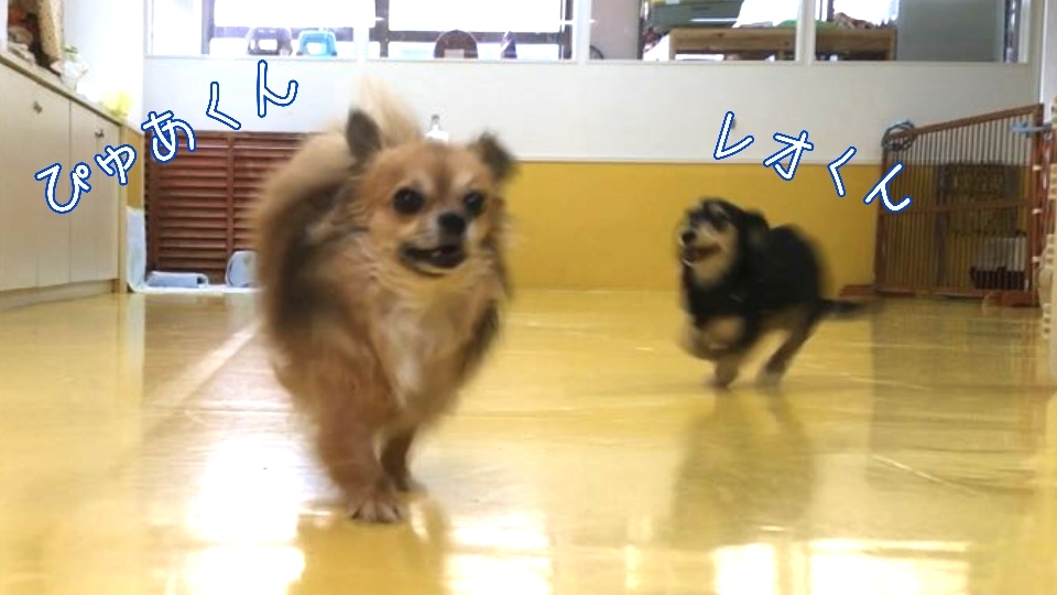 トレーニングブログ_f0357682_22232198.jpg