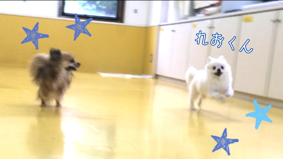 トレーニングブログ_f0357682_22233107.jpg