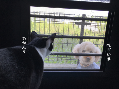 a0216583_22352281.png