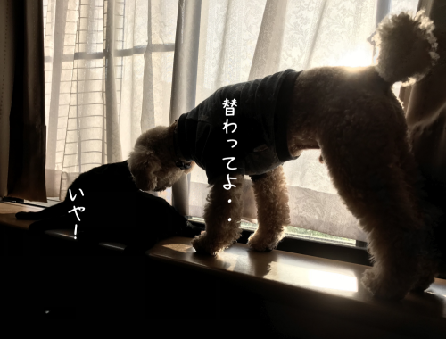 a0216583_22363829.png