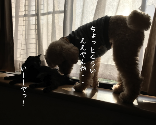 a0216583_22364490.png