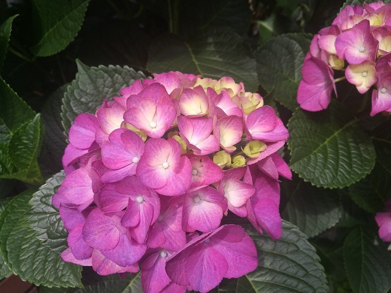 f0391490_03035755.jpg