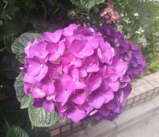 f0391490_03035791.jpg