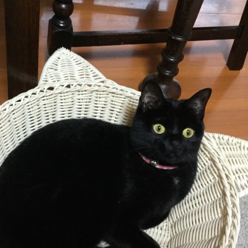 以心伝心？？_e0358096_17502338.jpeg