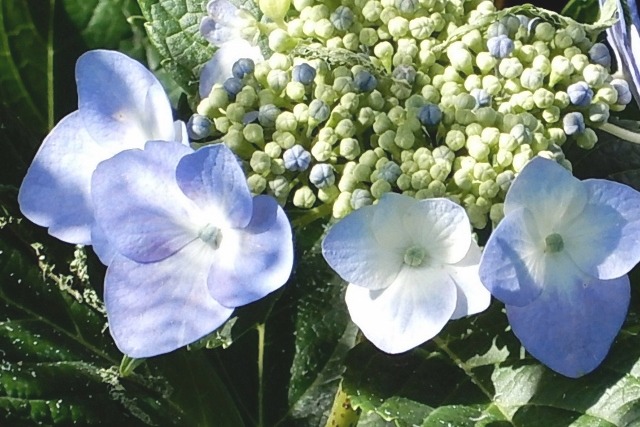 e0025300_2141442.jpg