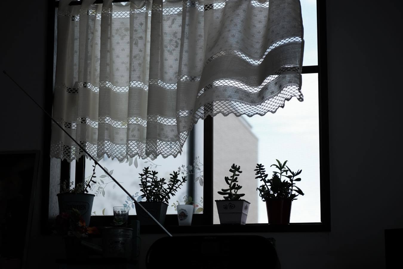 e0194300_10305425.jpg