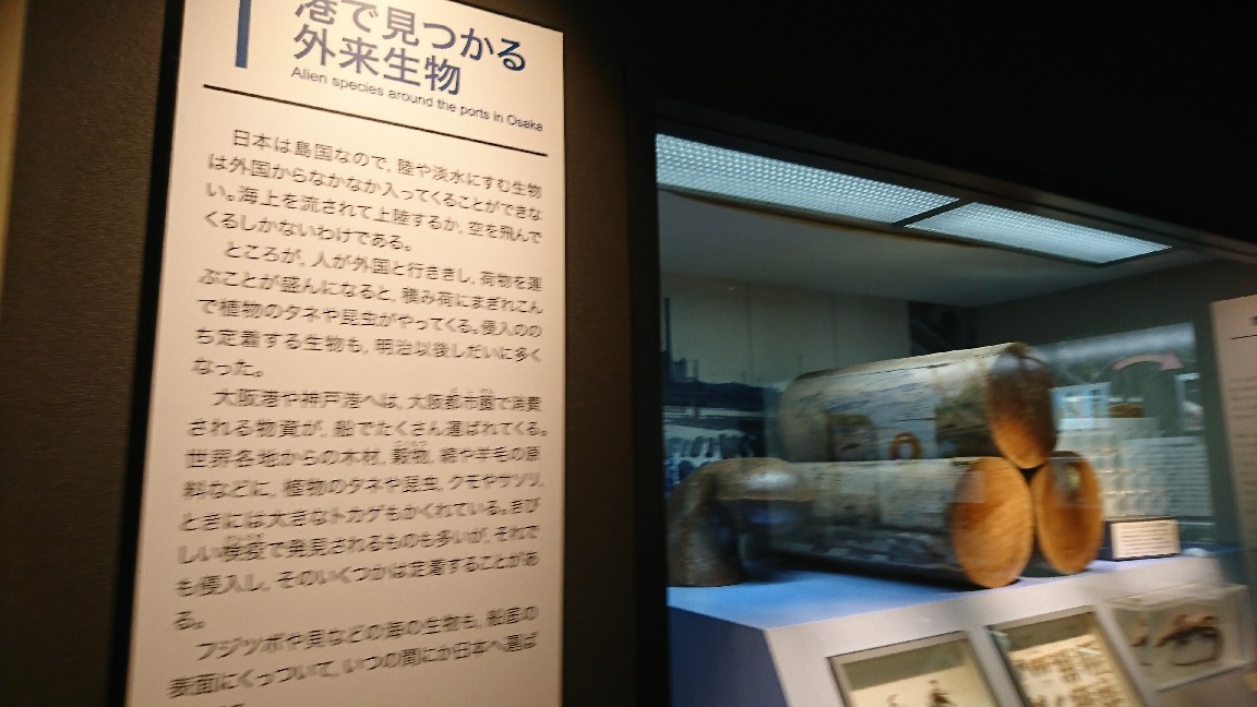 f0376200_09291265.jpg