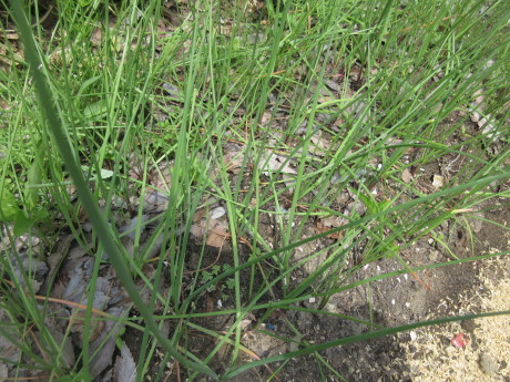 a0203003_21464603.jpg