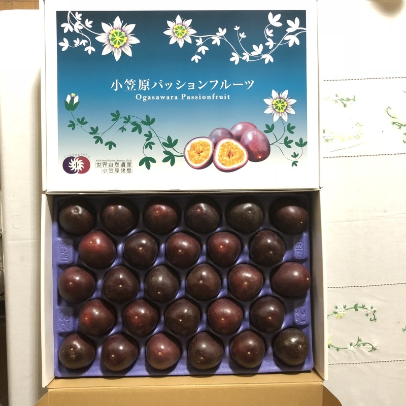 b0293908_08453402.jpeg