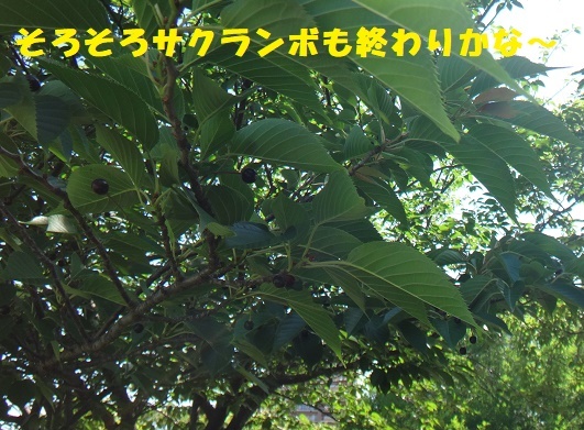 f0121712_15244338.jpg
