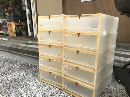 中古衣装ケース ボールパイソンなどに最適 アクアマイティー最新入荷情報blog 中古衣装ケース ボールパイソンなどに最適 アクアマイティー最新入荷情報blog