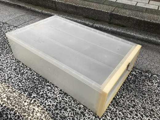 中古衣装ケース ボールパイソンなどに最適 アクアマイティー最新入荷情報blog 中古衣装ケース ボールパイソンなどに最適 アクアマイティー最新入荷情報blog