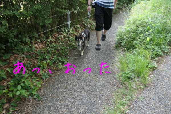 f0369014_13102669.jpg