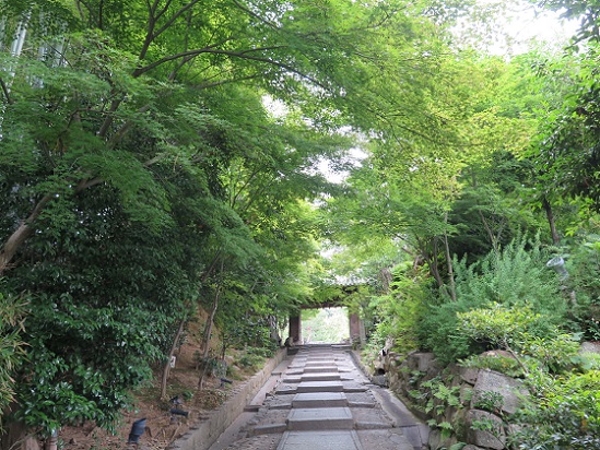 京都、高台寺_c0192215_10194566.jpg