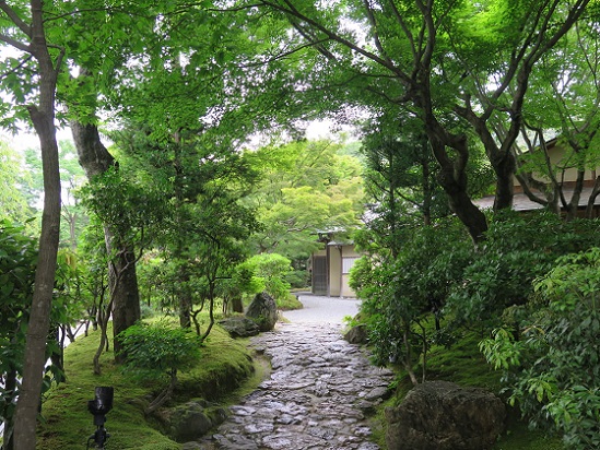 京都、高台寺_c0192215_1025154.jpg