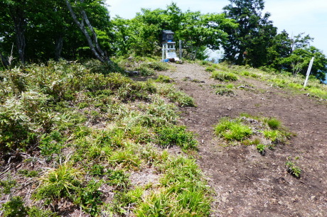 d0170615_19464569.jpg
