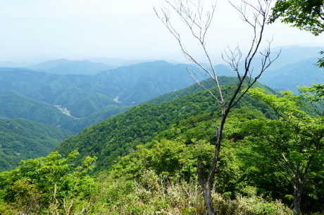 d0170615_19465397.jpg