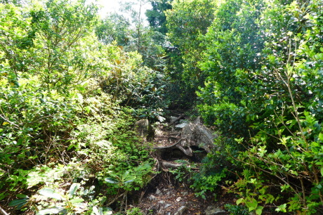 d0170615_19471746.jpg