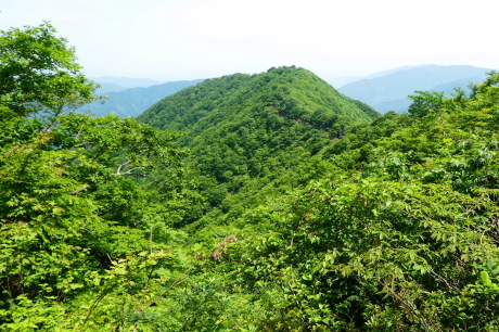 d0170615_19483490.jpg