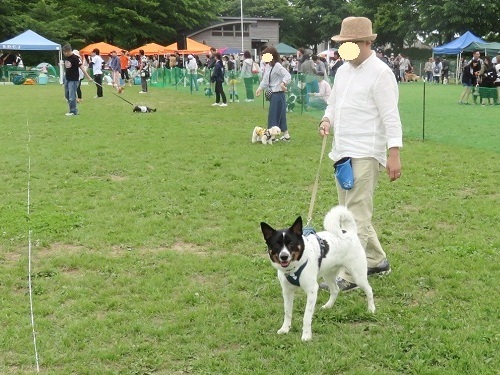 待ちに待ってた｢犬の大運動会｣ ⑥_c0084117_18362161.jpg