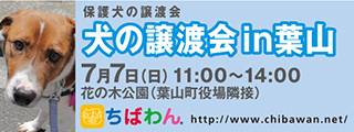 6/12引き出し編・レポート紹介　全　４8頭_f0078320_02302415.jpg