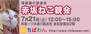 6/12引き出し編・レポート紹介　全　４8頭_f0078320_02303879.jpg