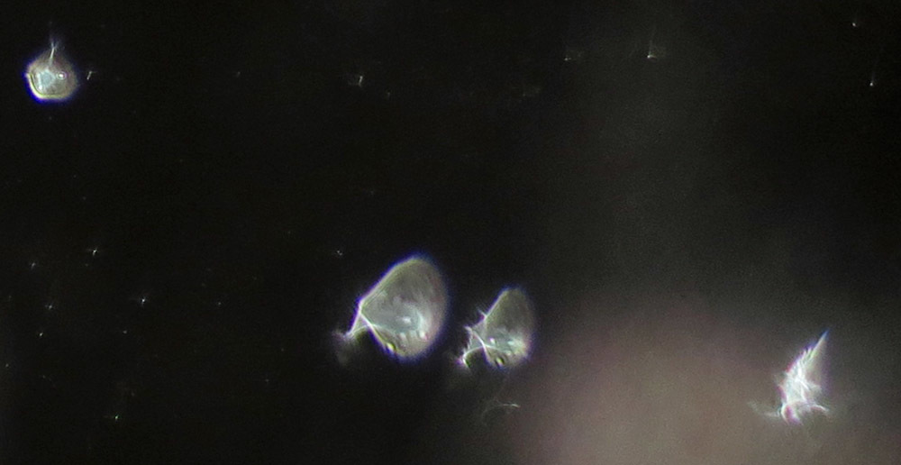 c0331825_20203463.jpg