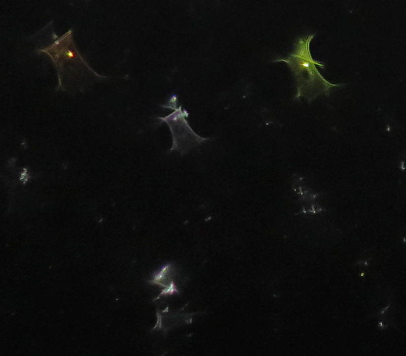 c0331825_20275694.jpg