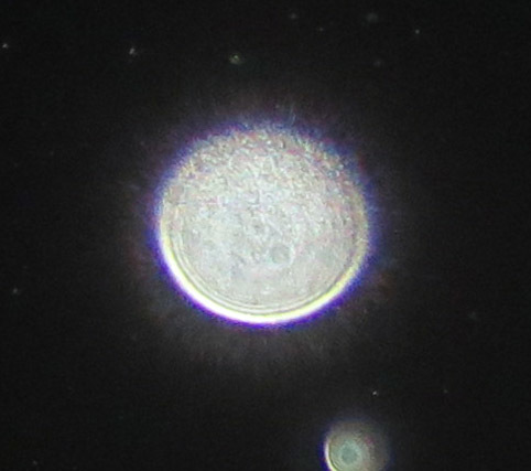 c0331825_20334732.jpg