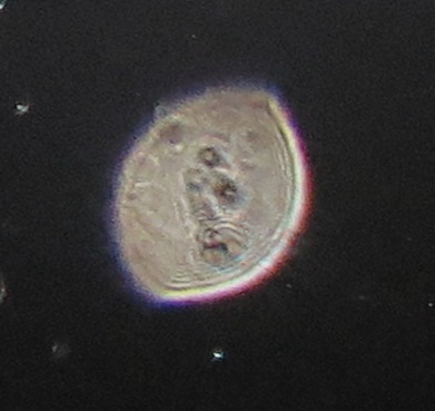 c0331825_20381568.jpg