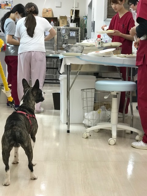 d0365027_21575893.jpeg