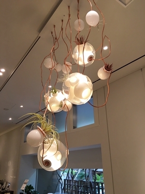 d0178136_15103994.jpeg