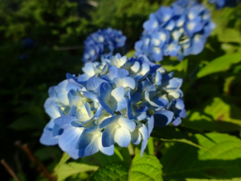 d0378837_07433049.jpg
